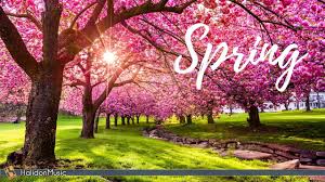 Image result for spring