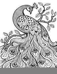 Coloring Pages