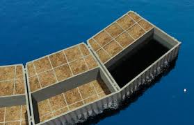 images?q=tbn:ANd9GcTDEluQbYFF7f3t2POvXcC