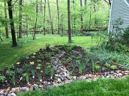 Maybe you would like to learn more about one of these? Replace That Soggy Section Of Lawn With A Rain Garden Hello Homestead