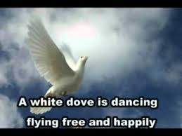 Birds Flying High Lyrics White Dove Fly High Casting Crowns With Lyrics White Doves Worship Songs Lyrics