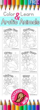 Choose your favorite animals in this chart or see our baby animals, farm animals, and. Arctic Animal Preschool Printables Preschool Mom