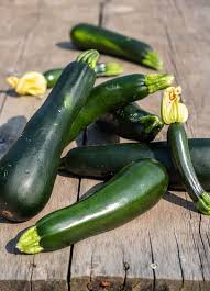 Here are common zucchini growing problems with cures leaves have yellow specks that turn brown, then black and crisp; It S Zucchini Season How You Ve Been Growing Them All Wrong