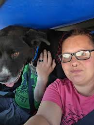 National Sterilization Project success and appreciation