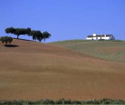 Resultado de imagem para monte alentejano