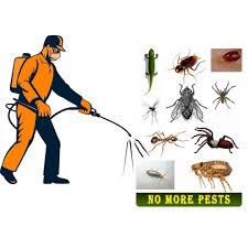 Our company is locally owned and operated and dedicated to serving customers in the communities in which we live and work. In Home Bee Pest Control Service On Site Promise Pest Control System Id 20670422312