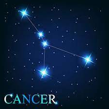 Pendejo this is a frequent word used in the spanish language. Spanish Translation Of Cancer Collins English Spanish Dictionary