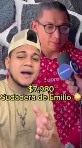 Cuanto Cuesta Un Gato Sin Pelo