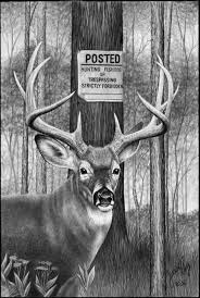 Black And White Pictures Of Whitetail Deer Pin By Brenda Guffey On Funny Things Deer Painting Deer Drawing Hunting Drawings