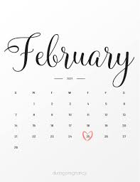 Feb 22 to feb 25. Due Date February 25 2021 During Pregnancy