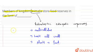 Check spelling or type a new query. Members Of Kingdom Animalia Store Food Reserves In The Form Of Youtube