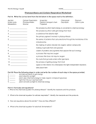 Photosynthesis And Cellular Respiration Review Sheet