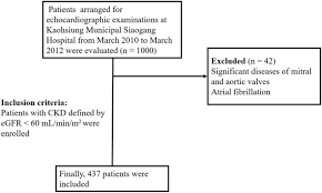 Chads2 score calculation requires some risk factor knowledge. Using Chads 2 And Cha 2 Ds 2 Vasc Scores For Mortality Prediction In Patients With Chronic Kidney Disease Scientific Reports