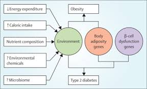 pathophysiology and treatment of type 2 diabetes