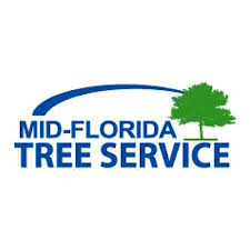 Sometimes tree trimming is not at the top of your maintenance priority list, but it should be! Lithia Florida Tree Service