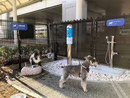 About 0% of these are toilets, 0% are urinals. Osaka Airport Introduces Canine Comfort Room