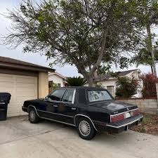 Image result for Sable Brown 1984 Chrysler