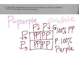 If a gene is heterozygous it will have two different alleles for the same gene, thus in case of monohybrid cross where only a single gene is considered maximum two alleles are under consideration. Give Peas A Chance 1 Science Biology Genetics Showme