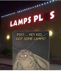 Pin On Funny Moth Memes Just Because