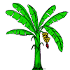 Daun santan euclidean, bahan tekstur daun kelapa, sudut rendah daun kelapa di bawah langit yang menenangkan, tekstur, cat air daun png. 1
