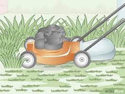 All mosquitoes lay eggs in water, and they need precious little of it. 10 Ways To Get Rid Of Mosquitoes In Your Yard Wikihow