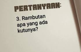 Dengan kata lain, teka teki lucu adalah pengisi waktu serta penghilang kebosanan. 19 Teka Teki Ideas Pasadena Negara In Ear Headphones