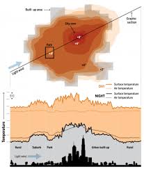 Use Our Infographics To Explore The Rise Of The Urban Planet