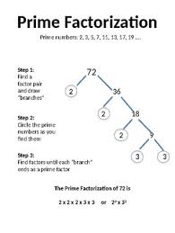 Finding Prime Factorization Anchor Chart