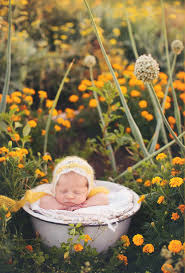 Oh My I Would Die For A Flower Garden Like This By My House Love This Newborn Pic Erin T Newborn Photography Boy Newborn Photography Girl Newborn Pictures