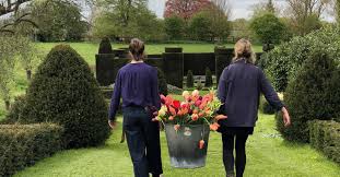 Annuals like petunias offer prolific blooms and strong growth over the season. Find Garden Plants Online House Garden