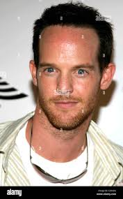 Gray stanford hi-res stock photography and images