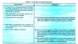 Image result for organisms and their environment