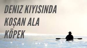 Deniz Kiyisinda Kosan Ala Kopek Cengiz Aytmatov Hikaye Incelemesi Youtube