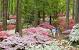 Callaway Gardens Cabins