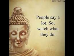 Elin Finley (elinfinley)