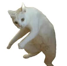 Download Meme Del Gato Blanco Yo Habia Ponido Png Gif Base Lion Sculpture Animals Sculpture