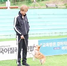 Same Little Corgi My Heart Bts Hayran Sanati Kopek