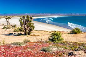 Baja california (oficiální název estado libre y soberano de baja california, překlad svobodný a suverénní stát dolní kalifornie) je také jeden z členských států federativní republiky mexiko. Baja California Reiseroute Und Erfahrungsbericht Januar Bis Marz 2019 Mexico Www Wilde Weite Welt De