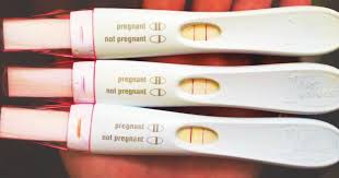 I took a pregnancy test and it said i'm pregnant! Quotes About Pregnancy Test 40 Quotes