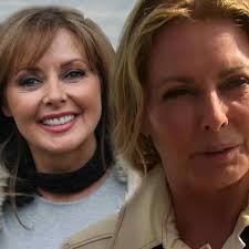Bio, height, weight, age, measurements. Has Carol Vorderman Had Cosmetic Surgery I M A Celeb Campmate Has Fans Questioning Age Ok Magazine