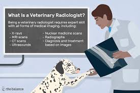 Maybe you would like to learn more about one of these? Veterinary Radiologist Job Description Salary Skills More