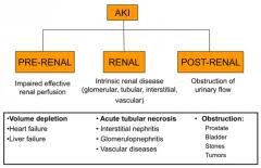 Image result for Postrenal Failure