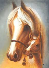 images?q=tbn:ANd9GcTDFz2k8_oTkhhXo8nTqCNLfvcsai0pC-HsUzOnxKRTK9Kxglnv