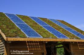Renewable Energy In The Netherlands Greenroof For Better Isolation And Solar Panels All Under One Roof On The R Toit Vegetal Toiture Vegetalisee Architecture