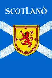 Die nationalflagge schottlands ist eine einfarbige blaue flagge mit einem weißen diagonalkreuz. Royal Banner Of Scotland Flag Lion Rampant Journal Scottish Saltire Travel Book 6 X 9 Scots Gift Connections Celtic 9781725119475 Amazon Com Books