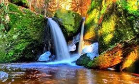 Download hd hd nature wallpapers best collection. Hd Nature Wallpapers Natural Images Nature Background Background Image Natural Hd Download 1280x780 Wallpaper Teahub Io