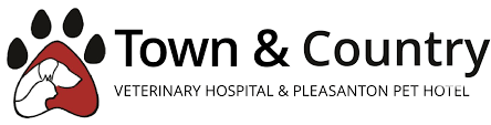 Maybe you would like to learn more about one of these? Town Country Veterinary Hospital Your Veterinary Hospital And Pet Hotel In Pleasanton Ca
