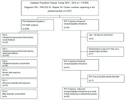 Flow Chart Of The Selection Process Download