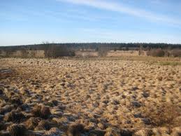 A list of webcams in the region of ternell, ordered by distance (186044). Haus Ternell In Der Einode Des Venns Aachen50plus De