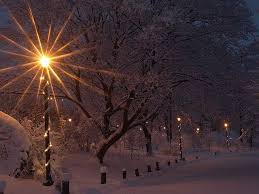 Winter In The Park Snow Scenes Winter Winter Snow
